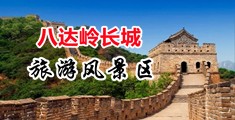 jjzz中国人中国北京-八达岭长城旅游风景区